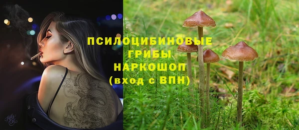герыч Аркадак