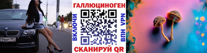 где продают   Севск  Псилоцибиновые грибы Cubensis 